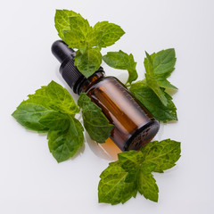 essential oil of peppermint on a white background