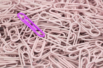 A SHOCKING PINK PAPER CLIP AMONG PASTEL PINK PAPER CLIPS FOR BACKGROUND (DIFFERENT CONCEPT)