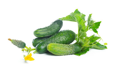 cucumber with leaf and flower natural vegetables organic food isolated on white background