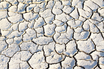 dry land in the wild, closeup of photo, north china