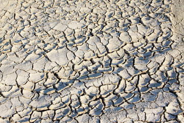 dry land in the wild, closeup of photo, north china