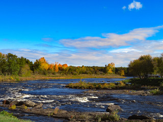 Fototapeta premium autumn landscape with river
