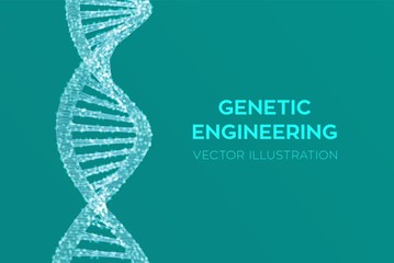 DNA sequence. Wireframe DNA molecules structure mesh. DNA code editable template. Science and Technology concept. Vector illustration.