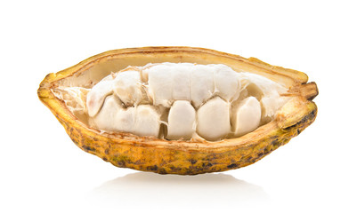 ripe cocoa fruits isolated on white background