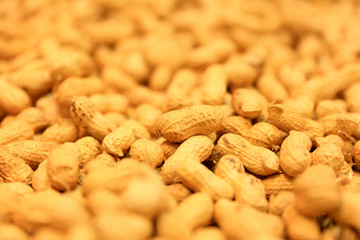 Mature peanuts