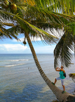 Eine Frau auf einer gebogenen Palme am Strand von Roatan, Karibik 