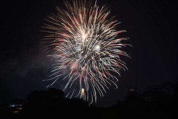 เฉลิมฉลอง