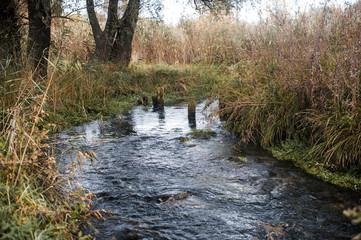 Река Россошь © pyanichev