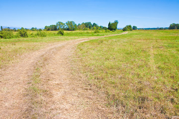 Tipical Tuscany country road (Italy)