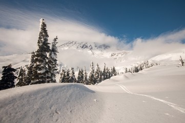 A lenticular cloud over Mount Rainier in winter