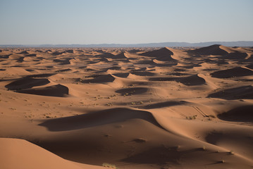 Fototapeta na wymiar Dunes in the desert of Sahara, Morocco.