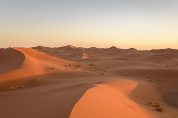 Naklejka na ściany i meble Dunes in the desert of Sahara, Morocco.