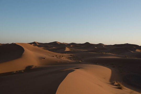 Dunes in the desert of Sahara, Morocco.