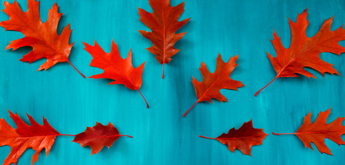 Red oak leaves pattern on a blue background