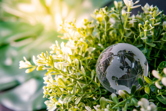 World globe cystal glass on green leaves bush. Environmental conservation. World environment day. Global business for sustainable development. Nature and ecology concept.
