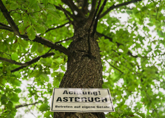 Schild Achtung Astbruch Betreten auf eigene Gefahr an einem Baum Eiche