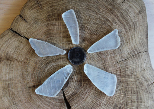 White sea glass
