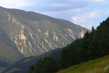 mountain slope with trees on it, natural landscape photo
