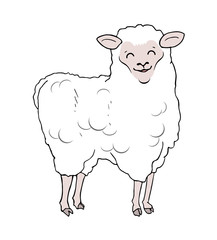 funny sheep draw
