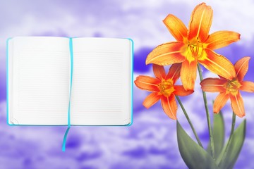 Beautiful live lily with opened note book with blank place for your information on left on blue sunny day sky with clouds background. Floral spring or summer flowers concept.