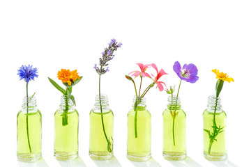 Essential oil. essential oil with flower, blueberry, marigold, lavender in bloom, geranium, perlargonium, yellow carnation, on white background