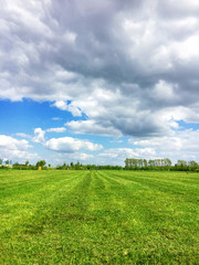 Suffolk rural scene