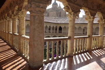 Salamanca desde el claustro
