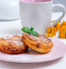 Cottage cheese pancakes on a pink plate, sprinkled with powdered sugar, Ukrainian homemade food