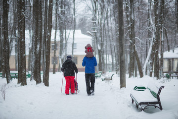 dad with a child walking in the winter snow-covered Park. woman in charge of Nordic walking
