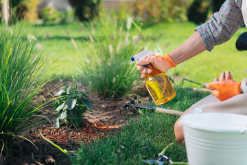 Woman with diffuser. Caring woman wearing squared shirt and orange gloves holding diffuser sprinkling water on plants