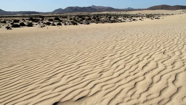 dunes of a desert