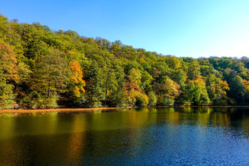Herbslandschaft am See