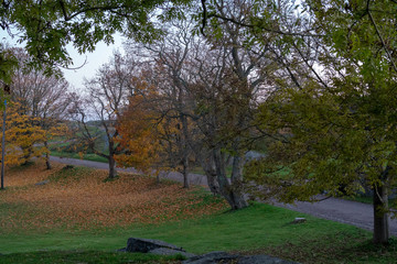 Obraz premium autumn park in the sea fortress