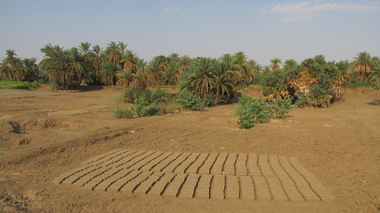 Ziegel trocknen in der Sonne des Nordsudan