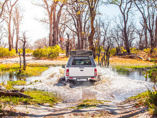 Off-road car fording water on safari wild drive in Chobe National Park, Botswana, Africa
