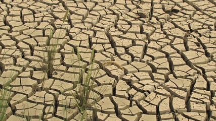 Trockenheit der Erde in Afrika
