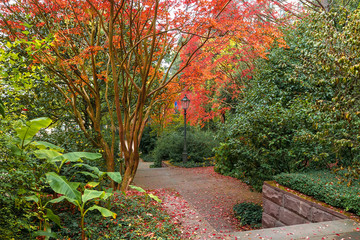 Autumn season in Baden-Baden. Europe. Germany