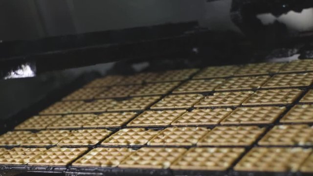Waffle production factory line
