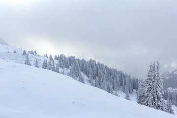Obraz premium Śnieżny śnieżny krajobraz we mgle - Parpaner Rothorn, Lenzerheide, Szwajcaria