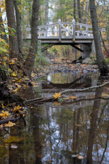 a bridge over autumn creek