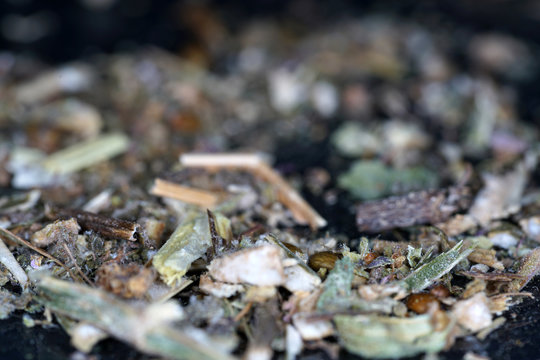 muscatel is very well as a spice for smoking meat and fish