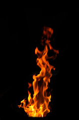 red and orange burning fire flames on black background.