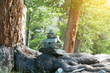 Obraz premium The stones are composed of a pyramid in the forest. Several stones lie on top of each other at the root of the tree.