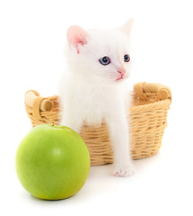 Fototapeta na wymiar Smal white kitten and apple.