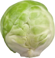 Brussel Sprout