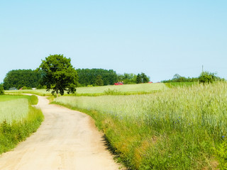 Country road in Kashubian village.
