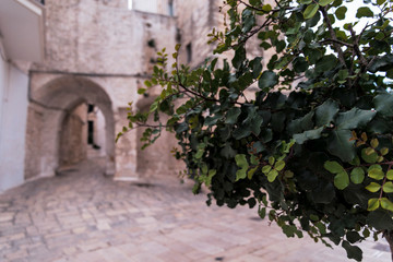 Fototapeta na wymiar Little square in Ceglie Messapica, Salento, Italy