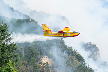 Water bomber aircraft Canadair.  A yellow airplane of the Fire Brigade flying over a wildfire in a pine forest. - 228537513