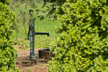 water well in the park between the trees