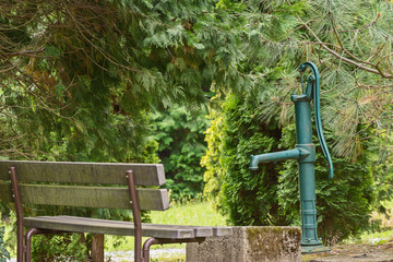 water well in the park between the trees - obrazy, fototapety, plakaty